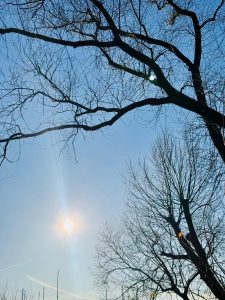 Mehr über den Artikel erfahren Winterpause ! 