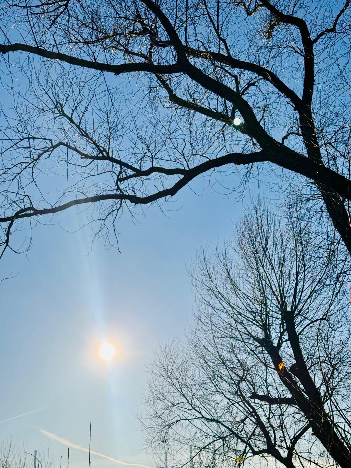 Du betrachtest gerade Winterpause ! 